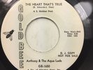 ANTHONY & AQUA LADS Heart That's True   I Remember GOLD BEE Doo Wop Soul 45 NM