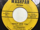 TOMANGOE'S I Really Love You WASHPAN Original Detroit Northern Soul 45 HEAR
