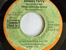 Funk 45  DEWEY TERRY “Do On My Feet (What I Did In The Street)” TUMBLEWEED mp3