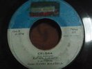 Panama Salsa 45 Rafael Labasta y su Orquesta - Celosa / La soga on Taboga HEAR