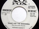 RICHARD BARRETT 45 Snake & The Bookworm / Lovely One PROMO Teen ROCKABILLY e9701