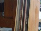 Alkaline Trio  Past Live Vinyl box set