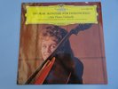 Anja THAUER - Dvorak - DGG tulip