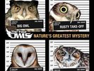 the four owls natures greatest mystery Ep