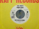 The HESITATIONS - 