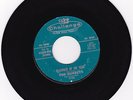 THE SUNSETS 45 rpm record PLAYMATE OF THE YEAR .... RARE SURF