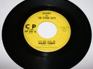 60's GARAGE PUNK / DANNY & THE OTHER GUYS / HARD TIMES / C P / VG(STR) / *HEAR*