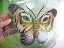 Talk Talk ? Living In Another World 1986 UK Vinyl Picture Disc Shape Rare SEALED