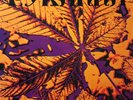 PYRANHA rare original SWISS PROG PSYCH JAZZ LP ARCHIVE COPY