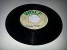 WOLF/BIRDS OF A FEATHER - TYRONE TAYLOR  [ROOTS REGGAE]  7