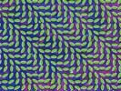Animal Collective ?– Merriweather Post Pavilion Vinyl LP (2 Disc, 2009)
