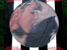 GIFT IDEA - BLONDIE NEW SEALED Parallel Lines 1978 US CHRYSALIS PICTURE DISC LP