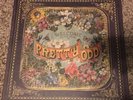 Panic  At the Disco - Pretty. Odd. Collector's Edition, 2009 *RARE