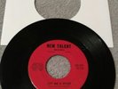 The Fugitives – I'm Gonna Hurt You / Cry Me A River (New Talent NT-101) VG+ RARE
