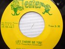ROYAL JESTERS doowop 45 LET THERE BE YOU b/w I REALLY DON'T WANT TO KNOW  F1140