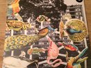 Fire Orchestra LP + CD Mint Jazz Mats Gustafson Sealed FREE UK P&P