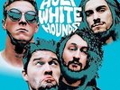 Holy White Hounds - Sparkle Sparkle [Vinyl New]