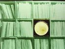 PAUL NICE-DRUM LIBRARY 10  VINYL LP NEW