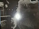 THE GLORY OF THE FRUIT BATS LP sealed vinyl + download RSD RSDBF Black Friday