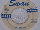 Beatles She Loves You & I'll Get You SWAN Label Blue Print 45 RPM