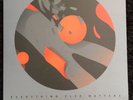 Pinkshinyultrablast Everything Else Matters LP 180G Psyche Tiger Vinyl