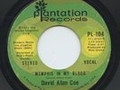 HEAR - Rare Country 45 - David Allan Coe - Memphis In My Blood - Plantation #104