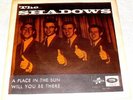 THE SHADOWS A PLACE IN THE SUN RARE SWEDISH PICTURE SLEEVE 7