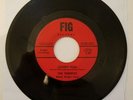 The Terrifics 'Lover's Plea/On The Sea Shore' Rare,Kentucky Garage,FIG Records