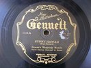 Gowan's Rhapsody Makers Sunny Hawaii Gennett 6039 #Listen#