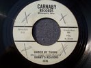 60s MINNESOTA GARAGE--DANNY'S REASONS--UNDER MY THUMB / TRIANGLES--CARNABY 101