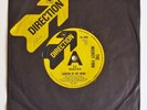 THE MICKEY FINN - GARDEN OF MY MIND 7