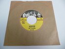The Wailers Shanghied / Wailin Golden Crest 45 Record