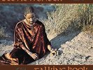 Stevie Wonder - Talking Book