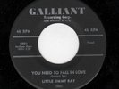 POPCORN/NORTHERN SOUL-LITTLE JIMMY RAY-GALLIANT 1001-YOU NEED TO FALL IN LOVE/MA