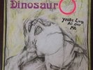 Dinosaur Jr. - You're Living All Over Me LP. First Press. No Jr.  Rare. Nirvana