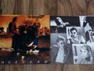 The Go-Betweens 