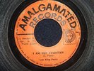 LEE KING PERRY - I AM THE UPSETTER   (R/Steady)  45