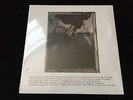 Pixies Surfer Rosa LP New Sealed 4AD