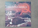 STEELCAPPED STRENGTH - SIGN OF EVIL LP ISD ROR REBELLES SKINHEAD OI