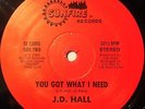 J D HALL Sexy Lady/You Got SUNFIRE 12