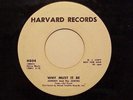 RARE WHITE DOO WOP 1ST PRESS PROMO 45 