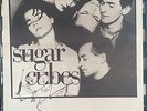 THE SUGAR CUBES original unused billboard LIVE 23 Nov 1988 (BA.331)