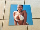 Aphex Twin - Windowlicker - Warp Records Lp 1999 Single Lp