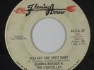Funk 45 - Gloria Walker & Chevelles - You Hit The Spot - Flaming Arrow - mp3