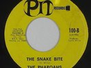 Funk 45 - Pharoahs - The Snake Bite - PIT - mp3 - rare