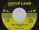 Modern Soul Boogie 45 - Wynd Chymes - Baby You're The One - Lotus Land VG++ mp3