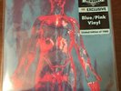 NIRVANA SLIVER/DIVE NEWBURY COMICS EXCLUSIVE BLUE/PINK 7