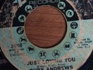 Just Loving You - Ruby Andrews (Zodiac)