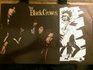 LP The Black Crowes - Shake your money maker