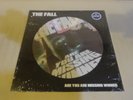 SEALED  MINT  The Fall Are You Missing Winner Picture Disc LP Numbered/Die-Cut